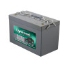 BATTERIE STATIONNAIRE CYCLIQUE AGM 12V 129.8Ah-C20 / 115.5Ah-C5
