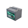 BATTERIE STATIONNAIRE AGM 12V 46.2Ah-C20 / 37.7Ah-C5