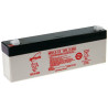BATTERIE STATIONNAIRE AGM 12V 2.2Ah-C20 / 1.9Ah-C5