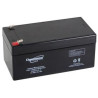 BATTERIE STATIONNAIRE AGM  12V 3.3Ah-C20 / 2.9Ah-C5