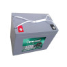 BATTERIE STATIONNAIRE CYCLIQUE AGM 12V 103.2Ah-C20 / 82Ah-C5