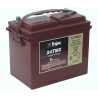 BATTERIE TRACTION MONOBLOC US TROJAN 24-TMX 12V 85Ah-C20 / 70Ah-C5