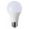 AMPOULE LED 6W - 12V/24V  UNILEDBULB 6.24