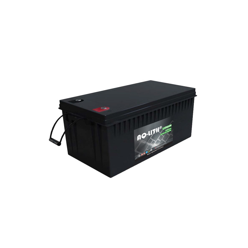 BATTERIE MONOBLOC LIFEPO4 12,8V 300Ah